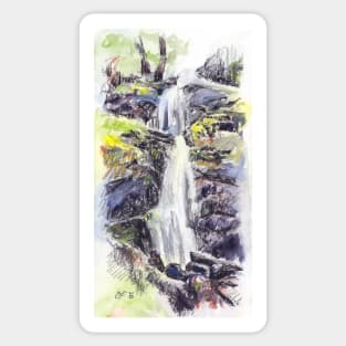 Canonteign Falls, Dartmoor Sticker